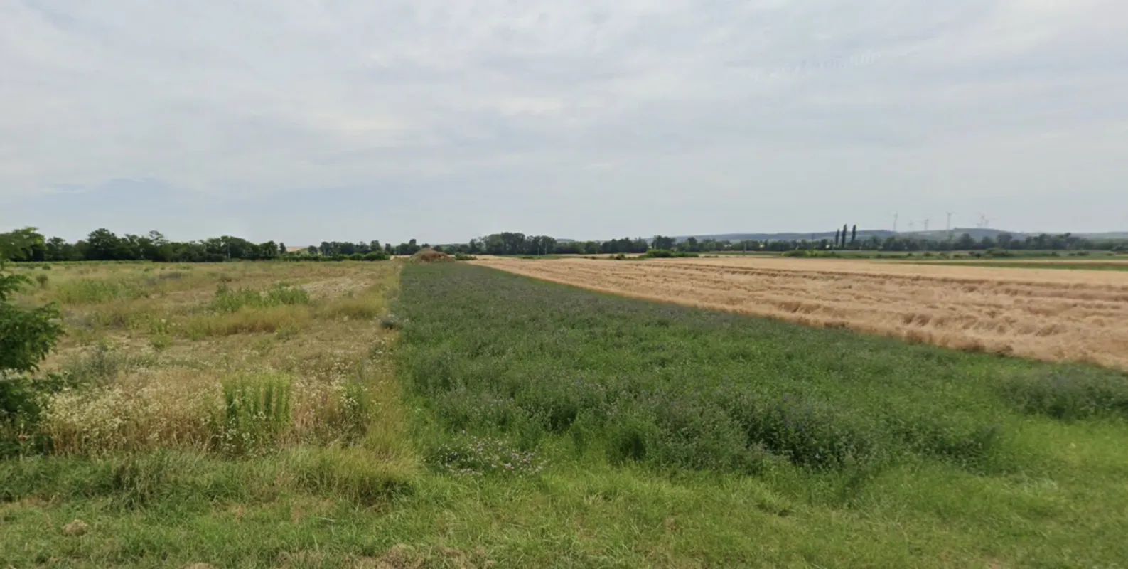 Großzügige Gewerbefläche in Antau: 24.561 m² für VB 1,2 Mio. € - Bild 1