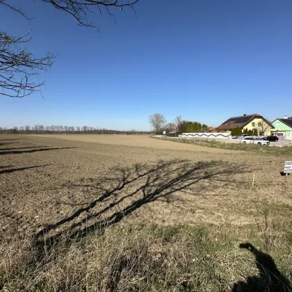 Baugrund am Ortsrand zu verkaufen - Bild 2