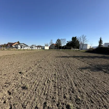 Baugrund am Ortsrand zu verkaufen - Bild 3