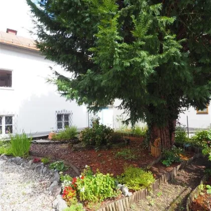 ZINSHAUS NAHE ZENTRUM - IM BAULAND KERNGEBIET ZU VERKAUFEN - Bild 3