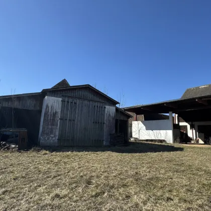 Bauernhof mit 1,5ha Grund, Hallen und Garagen - Bild 3