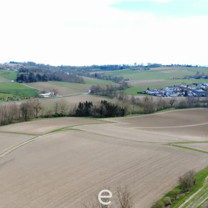 Acker mit 1,8 ha in Straßham (nähe Alkoven) zu verkaufen! - Bild 2