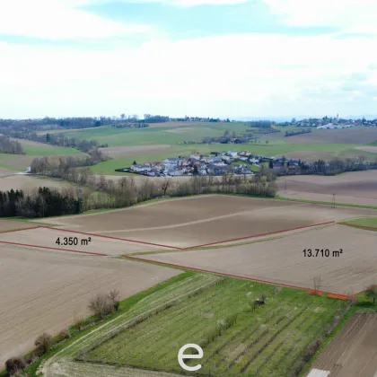 Acker mit 1,8 ha in Straßham (nähe Alkoven) zu verkaufen! - Bild 3