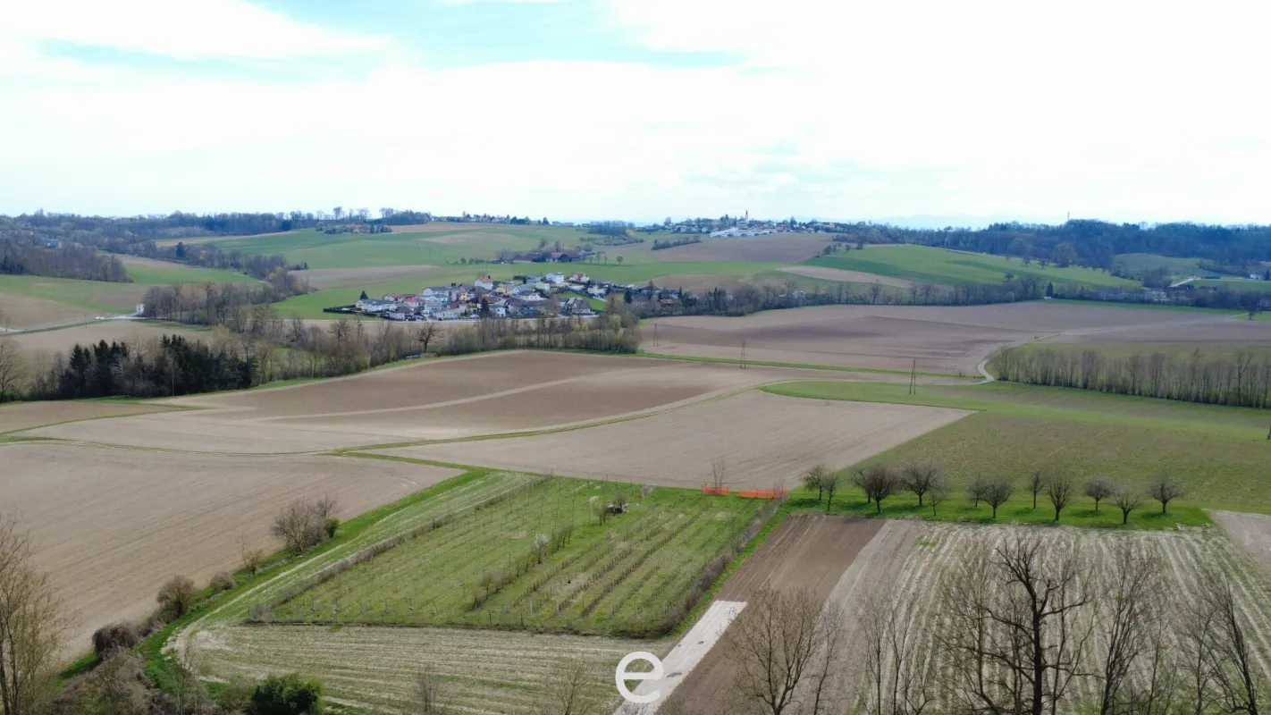 Acker mit 1,8 ha in Straßham (nähe Alkoven) zu verkaufen! - Bild 1