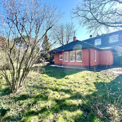 BAUBEWILLIGTES Grundstück in Traumlage Nähe Wien! I Einreichpläne bereits vorhanden I Villa mit 5 Zimmern möglich I Pool und Sauna I Garage - Bild 3