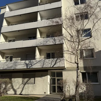 Sanierte Anlegerwohnung in Eisenstadt – 90 m² Wohnfläche mit Loggia und Garagenplatz - Bild 2