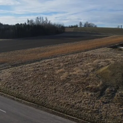 🌿 Vita Verde Niederthalheim TOP 1 - Bild 2