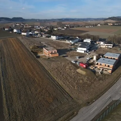 🌿 Vita Verde Niederthalheim TOP 1 - Bild 3