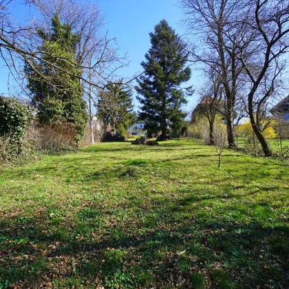Wunderschönes Baugrundstück für Ihr neues Eigenheim nahe Ortskern - Bild 2