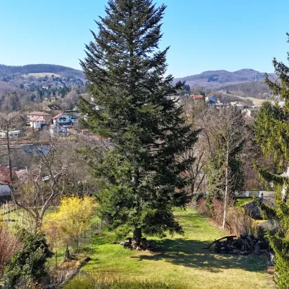 Wunderschönes Baugrundstück für Ihr neues Eigenheim nahe Ortskern - Bild 3