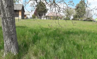 Sonniges Baugrundstück im Südburgenland!