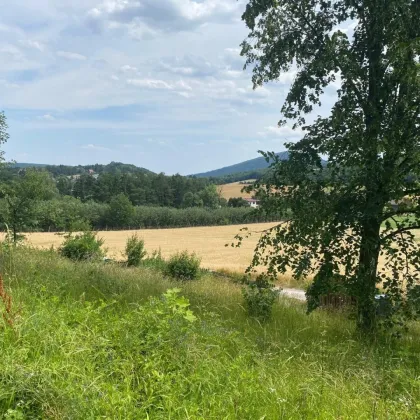 Traumhaftes Grundstück mit Aussicht in Siegenfeld bei Baden - Bild 2