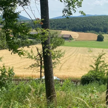 Traumhaftes Grundstück mit Aussicht in Siegenfeld bei Baden - Bild 3