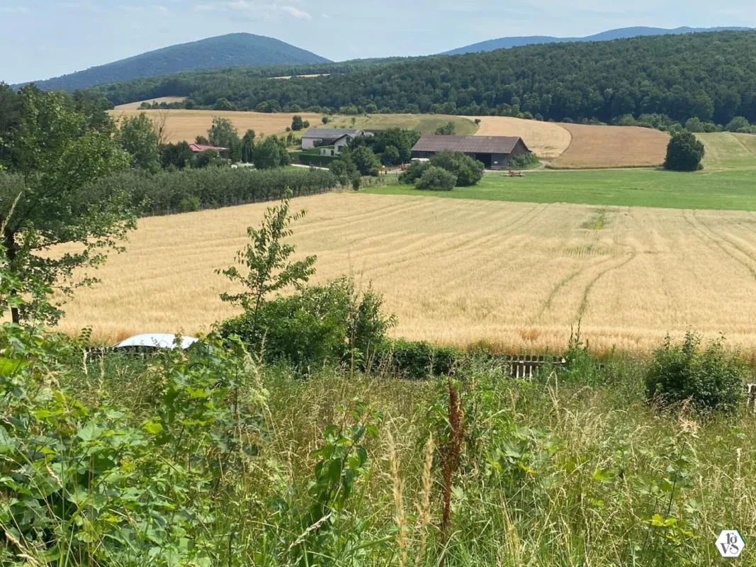 Traumhaftes Grundstück mit Aussicht in Siegenfeld bei Baden - Bild 1