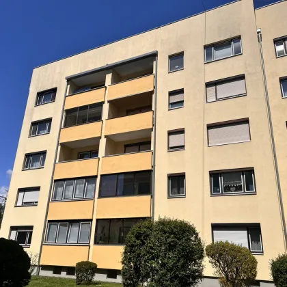 ++80 m² gemütliche Eigentumswohnung mit Wintergarten und Lift++ - Bild 3