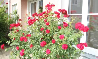 Traumhafte 4-Zimmer-Eigentumswohnung mit Terrasse und direktem Gartenanschluss