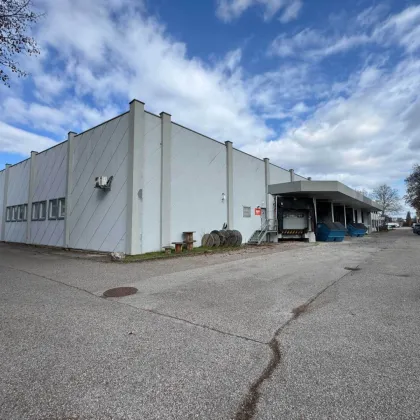 Vermietung von attraktiven Büro- und Lager/Produktionsflächen im Franzosenhausweg Linz - Bild 3