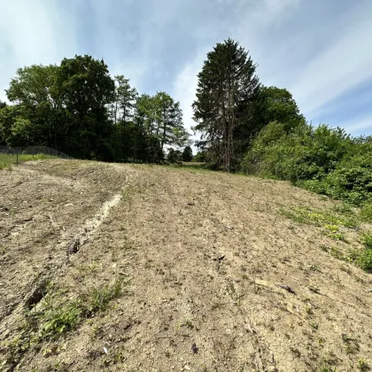 943,64 m² großes Grundstück in 3400 Klosterneuburg | Baubewilligung Einfamilienhaus - Bild 2