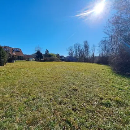 Großes, ebenes und sonniges Baugrundstück am Ende einer Sackgasse - Bild 3