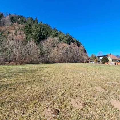 Großes, ebenes und sonniges Baugrundstück am Ende einer Sackgasse - Bild 2
