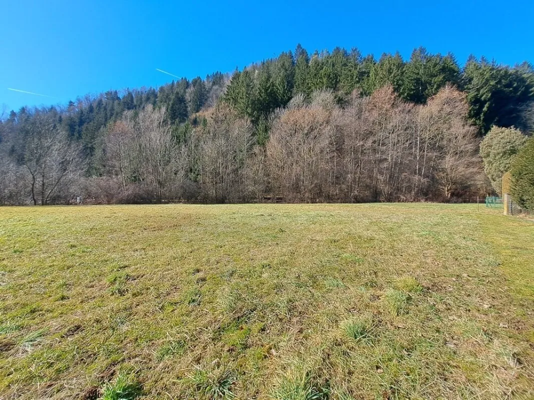 Großes, ebenes und sonniges Baugrundstück am Ende einer Sackgasse - Bild 1