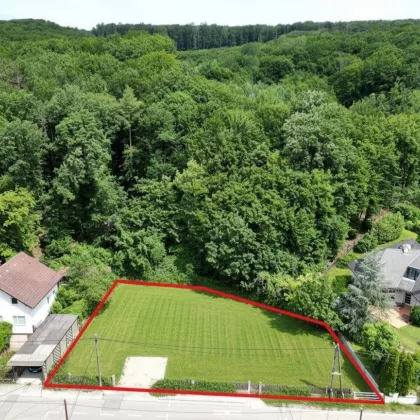 Villenbaugrund (aufgeschlossen!) mit 962 m² in Weidlinger Ruhelage - Bild 3