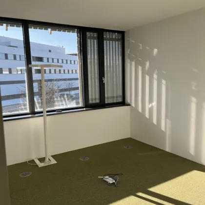 Kleines Büro, große Möglichkeiten – Arbeiten im Technologiezentrum Seestadt - Bild 2