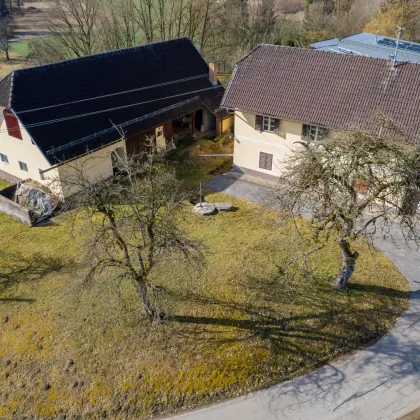 Charmantes Bauernhaus! Platz für Ihre Ideen und Projekte - Bild 3