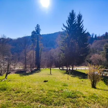 Sonniges Grundstück mit Grünblick in Ruhelage. - Widmung Ferienwohngebiet. - Nahe dem beliebten Gamlitz. - Bild 2