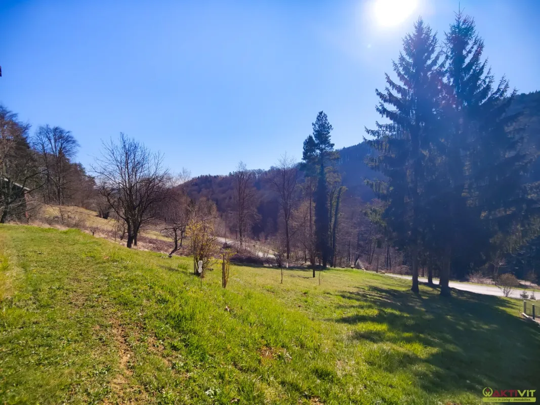 Sonniges Grundstück mit Grünblick in Ruhelage. - Widmung Ferienwohngebiet. - Nahe dem beliebten Gamlitz. - Bild 1