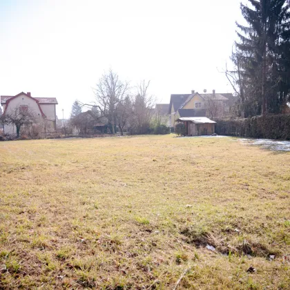 Rarität vor den Toren der Stadt - Bild 3