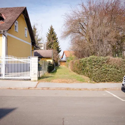 Rarität vor den Toren der Stadt - Bild 2