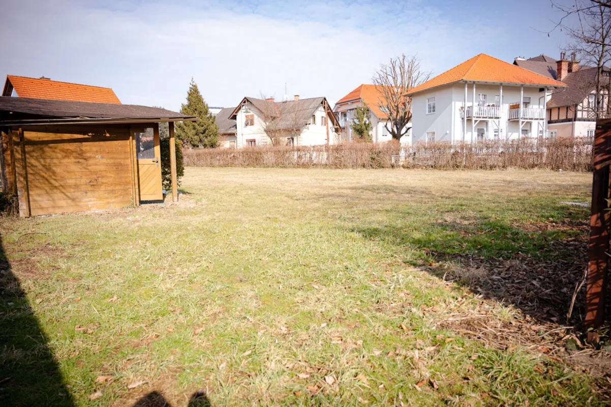 Rarität vor den Toren der Stadt - Bild 1