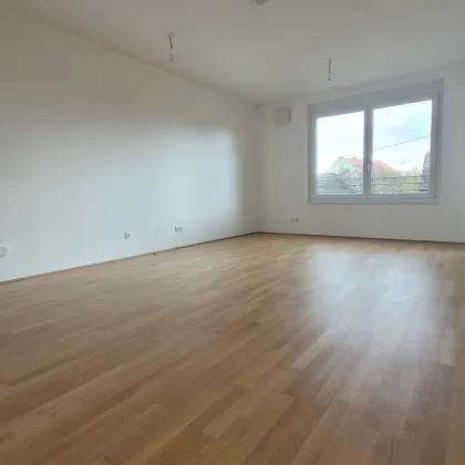 NEUER PREIS-"Lichtdurchflutete 3 Zimmer-Terrassenwohnung im Erstbezug" - Bild 2