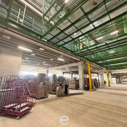 Top Lagerfläche in bester Verkehrslage in St.Pölten - Bild 3