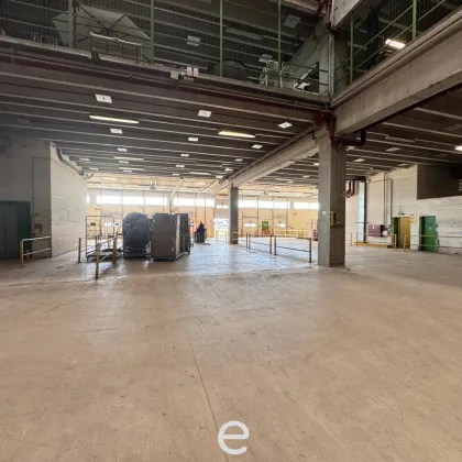 Top Lagerfläche in bester Verkehrslage in St.Pölten - Bild 3