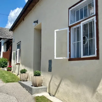 Erfolgreich verkauft - Seltene Gelegenheit über der Altstadt von Krems - Bild 2