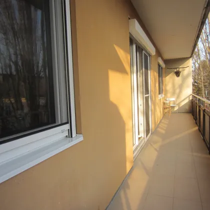 Traumhafte 2-Zimmer-Wohnung in Baden: Südloggia und Einbauküche! - Bild 2