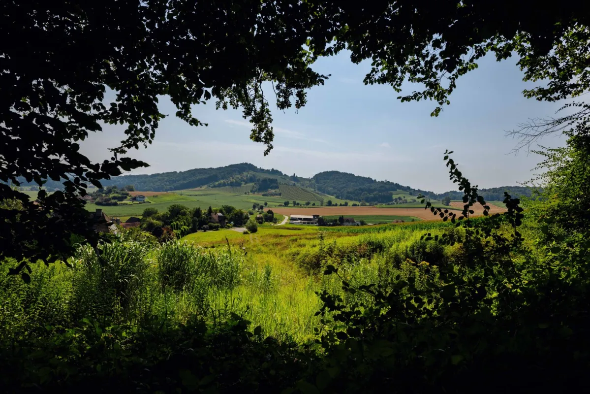 Traumgrundstück am Waldrand: Genießen Sie ein einladendes Sonnenparadies mit Panoramablick! - Bild 1