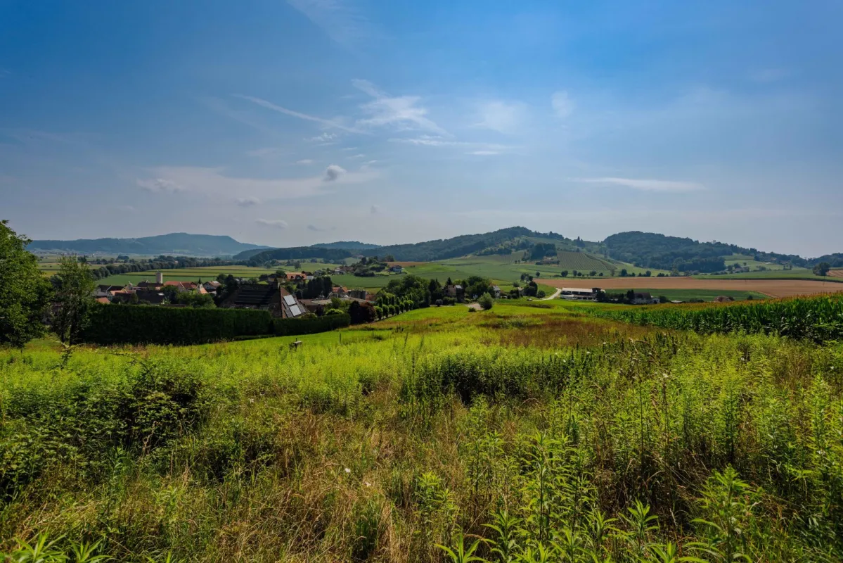 Sonniges Baugrundstück mit Panoramablick am Waldrand! - Bild 1