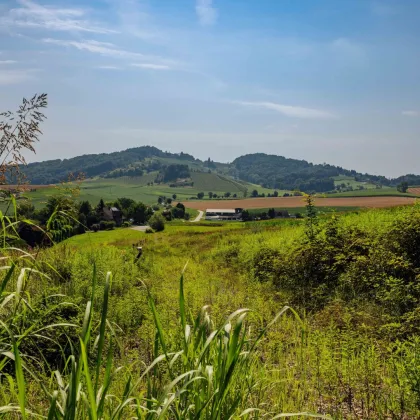 Sonniges Baugrundstück mit Panoramablick am Waldrand! - Bild 3