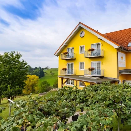 Top Pension mit großer Liegenschaft und dazu ein Vierkanthof in Thermenregion neben Golfplatz! - Bild 2