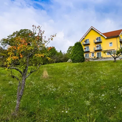 Top Pension mit großer Liegenschaft und dazu ein Vierkanthof in Thermenregion neben Golfplatz! - Bild 3