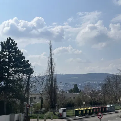 Grundstück mit Fernblick und ehemaliger Villa/Mehrparteienhaus - Bild 2