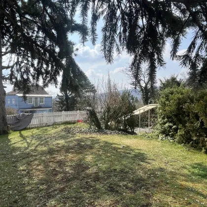 Grundstück mit Fernblick und ehemaliger Villa/Mehrparteienhaus - Bild 3