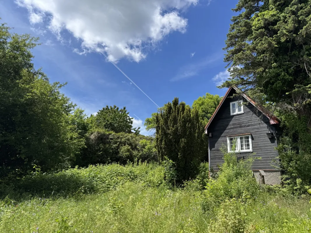 Traumhafter Kleingarten im Eigentum mit Hütte zu kaufen! - Bild 1
