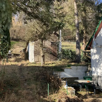 Grundstück mit Altbestand im Wienerwald! - Bild 3