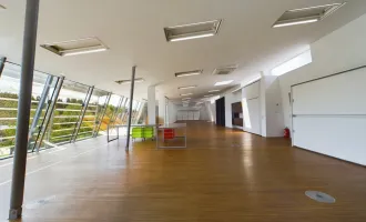 MIETE - TOLLE Bürofläche mit Grünblick - Großglobnitz bei ZWETTL
