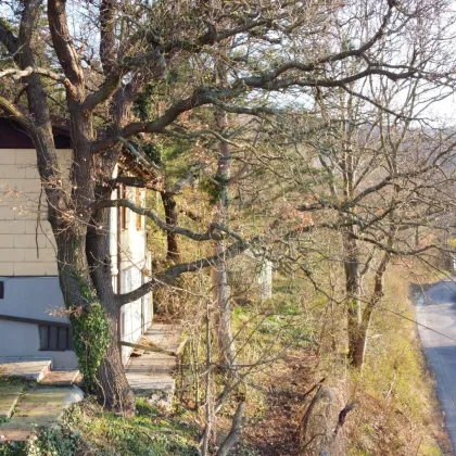 Über den Dächern - mit Weitblick auf Klosterneuburg - Bild 3