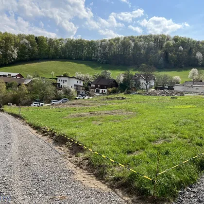 WEITBLICK & FREIRAUM - GROSSZÜGIGER BAUGRUND IN IDYLIISCHER WIENERWALDLAGE ZU KAUFEN!! - Bild 2